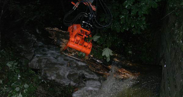 Entfernung des Baumstammes