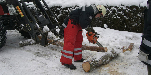 Arbeiten an verspannten Baumteilen