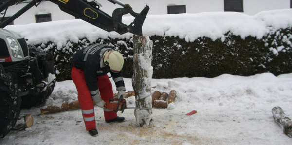 Korrektes Umschneiden eines Baums