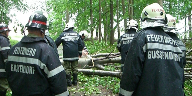 Der Baum blockierte die einzige Zufahrt zu einem Wohnhaus