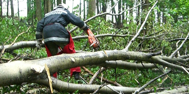 Baumbergung f&uuml;r die FF Gussendorf
